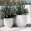 Two white planters with green plants in them, placed outdoors on a light-colored surface. Produktbild-Vorschau