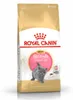 Royal Canin British Shorthair Kitten, Kocięta, Brytyjski Podgląd zdjęcia produktu 10