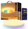 Govee Round Smart Ceiling Light kattovalaisin Anteprima dell’immagine prodotto 1