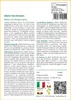 SAFLAX  - Abete Nordmann - 20 semi - Abies Anteprima dell’immagine prodotto 3