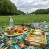 Zagatto Picknickdecke Stranddecke Decke 200x200cm mit Griff Produktbild-Vorschau 6