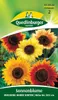 Sonnenblume, Mischung hoher Sorten Produktbild-Vorschau 5