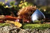 Alessi Chestnut, Edelstahl, Edelstahl, 1 Stück(e), 48 mm, Produktbild-Vorschau 3