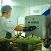 Čistý aloe gel Plus Lanzarote 1 l Náhled obrázku produktu 3