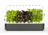 A smart garden with several basil plants growing under a light. Anteprima dell’immagine prodotto