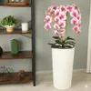 Künstliche Orchidee Cremerosa Kaskaden Blumenstrauß im Topf Produktbild-Vorschau 5
