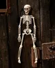 Halloween Skelett 40 cm - Beweglich Produktbild-Vorschau 3