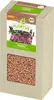 Keimsprossen Radies (200 g) |Keimsprossen von FLORTUS Produktbild-Vorschau 1