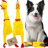 A border collie dog sits next to two squeaky rubber chickens, with a third chicken lying on the ground. Náhľad obrázku produktu