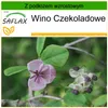 SAFLAX - Wino Czekoladowe - 10 Nasiona - Z podłożem Podgląd zdjęcia produktu 9