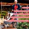 Hundebuggy & Fahrradanhänger für Hunde - Innopet Sporty Dog Produktbild-Vorschau 8