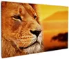 Wallario Premium Leinwandbild Prächtiger Löwe in der Produktbild-Vorschau 1
