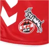 Hummel 1FCK 22/23 Shorts Away KIDS TRUE RED 164 Produktbild-Vorschau 4