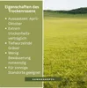 Majestic Sunny Green Trawa na suche stanowiska (4 kg) | Podgląd zdjęcia produktu 3