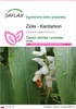 SAFLAX - Zioła - Kardamon - 20 Nasiona - Elettaria Podgląd zdjęcia produktu 1
