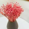 Flachs Getrocknete - (Leinen) - Rosa Produktbild-Vorschau 2