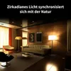 A modern living room with furniture and lamps, with text overlay. Produktbild-Vorschau