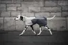 Non-stop dogwear Regenmantel Fjord raincoat 2.0 grau, Produktbild-Vorschau 16