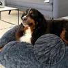 lionto Donut Lit pour chien, canapé rond pour chien avec Voir les images du produit 3