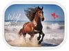 Mepal brotdose campus - wild horse 178 x 132 x 61 Anteprima dell’immagine prodotto 2