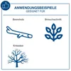 Scheppach Akku-Kettensäge C-CS254-X | 10‘‘ / 25,4 cm Produktbild-Vorschau 2