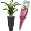 Zamioculcas Pflegedünger Starker Applikator 30 ml Produktbild-Vorschau 2