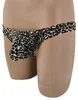 Leopard String Men für das Tier im Mann Produktbild-Vorschau 3