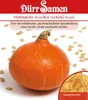 Hokkaido-Kürbis Uchiki Kuri | Hokkaido-Kürbissamen von Dürr Produktbild-Vorschau 1
