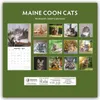 Maine Coon Cats - Maine Coon Katzen 2027 - Produktbild-Vorschau 2