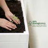 IvoQ Drewniana Donica Zewnętrzna - Duża Prostokątna Podgląd zdjęcia produktu 4