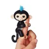 Cenocco Happy Monkey giocattolo da dito nero Anteprima dell’immagine prodotto 1