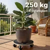 Rouleur de transport Wiltec jusqu'à 250 kg rond, rouleur de Voir les images du produit 2