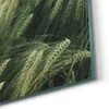 DEQORI Hybrid Leinwand Bild 60x30 cm 'Getreidefeldidylle' Produktbild-Vorschau 5