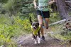 Ruffwear Trail Runner Leine Blue Pool Produktbild-Vorschau 3