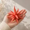 Herrnhuter Stern Sonderedition 2026 - Miniaturstern apricot Produktbild-Vorschau 5