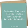 Mr. & Mrs. Panda Glückwunschkarte Spruch Bolonka Zwetna Produktbild-Vorschau 1