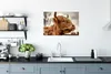 MuchoWow® Poster Scottish Highlander - Strauch - Heidekraut Produktbild-Vorschau 3
