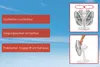 Ein Bild zeigt den Unold TISCHVENTILATOR SILVERLINE 30 cm mit zuschaltbarer Oszillation, verstellbar Anteprima dell’immagine prodotto