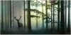 Wandbild Mega XXXL Wald 250x125 cm Einteiliger XXL-Format Produktbild-Vorschau 7