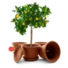 BigDean 1 Stück Blumentopf mit Untersetzer rund ø 35 cm Produktbild-Vorschau 2