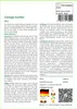 SAFLAX - Wildblumen: Cottage Garden - 1000 Samen - 21 Produktbild-Vorschau 3