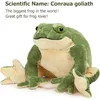 Frosch Plüschtier Kuscheltier 28 cm Riesig Weiches Produktbild-Vorschau 5