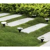 Solar-powered garden lights are placed along a pathway in a garden setting. Anteprima dell’immagine prodotto