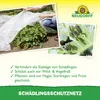 Neudorff SchädlingsschutzNetz 2,30m x 4,25m - Feinmaschiges Produktbild-Vorschau 4