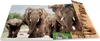 HERMA Eckspannermappe "Afrika Tiere" aus Karton DIN A4 Produktbild-Vorschau 7