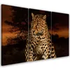 Triptychon auf leinwand tiere - orange 120x80 cm Feeby Produktbild-Vorschau 1