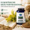Złotoklono (Solidago) – 180 kapsułek – dla wsparcia Podgląd zdjęcia produktu 5