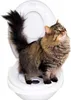 Katzen WC-Sitz Toiletten Training System Katzentoilette Produktbild-Vorschau 2