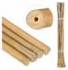 50 tiges de bambou de 105 cm, en bambou naturel, tiges de Voir les images du produit 1