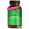 Vitabay Forskolin 400 mg - 90 vegane Kapseln - Produktbild-Vorschau 1
